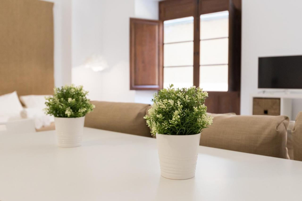 Appartement Santiago Premium Loft I à Málaga Extérieur photo